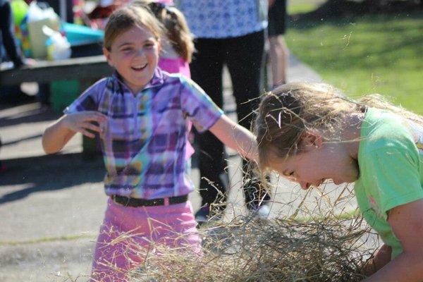 Pony Party Fun