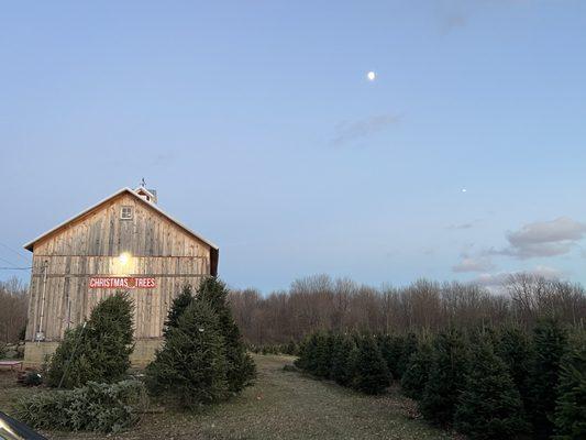 Trees and barn