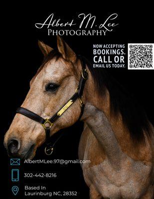 Equine photographer in based in North Carolina