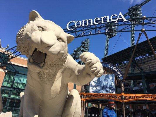 Home of the Detroit tigers!!!