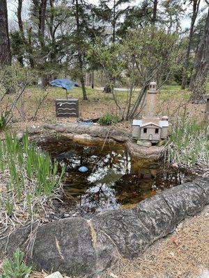 Outdoor koi pond