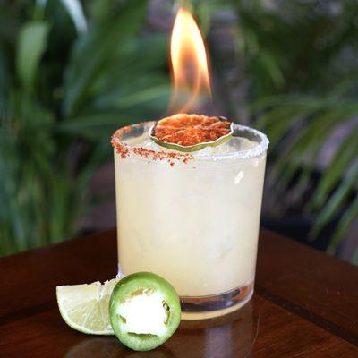 Scorpion Margarita - This Margarita is crafted with freshly squeezed citrus, casamigos tequila, and a spicy sting ancho reyes poblano liquor