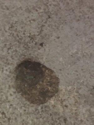 Feces stain in the stairwell.  Human or animal?  Who knows?