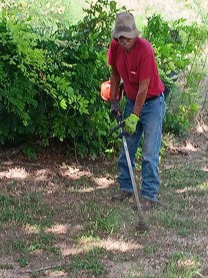 Weeding all dead weeds