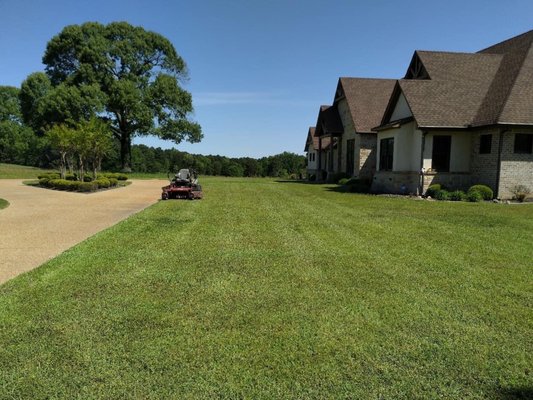 Regular lawn service