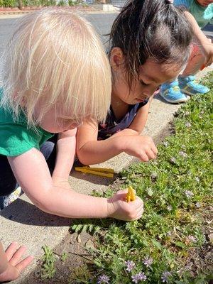 Looking for earthworms after the rain! Expiration is a key to learning.