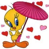 photo of Tweety 2.