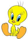 Photo of Tweety B.