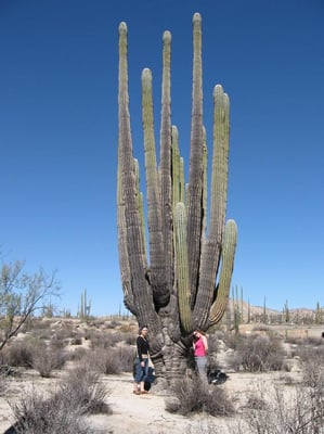 photo of Sarah B.