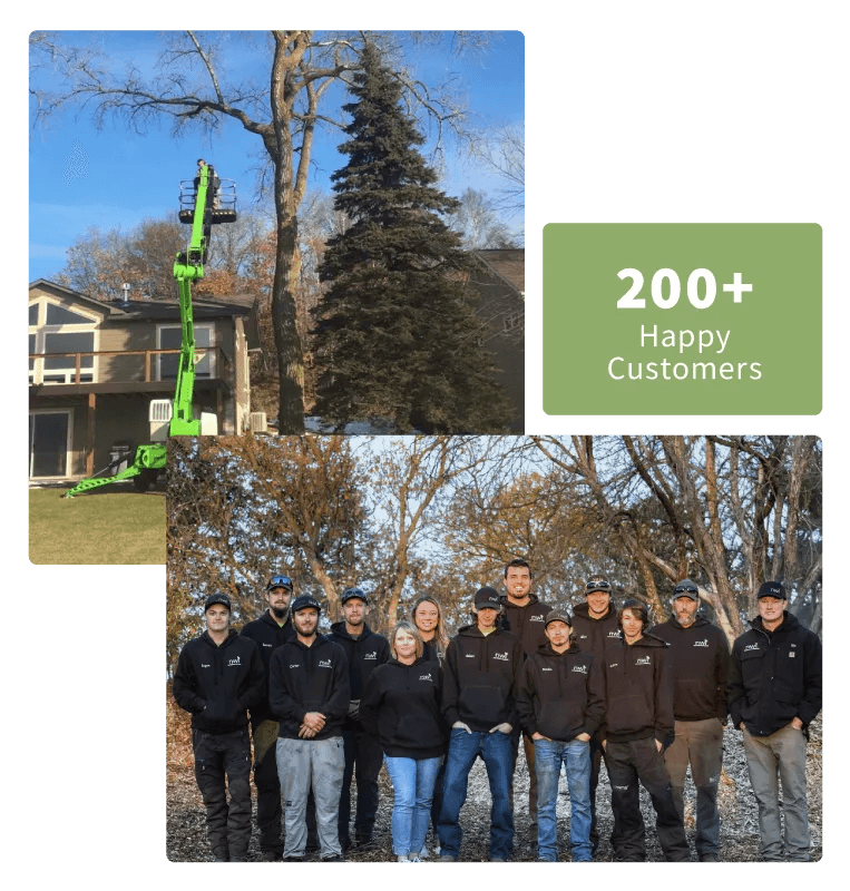 Nwi Tree Service & Landscaping