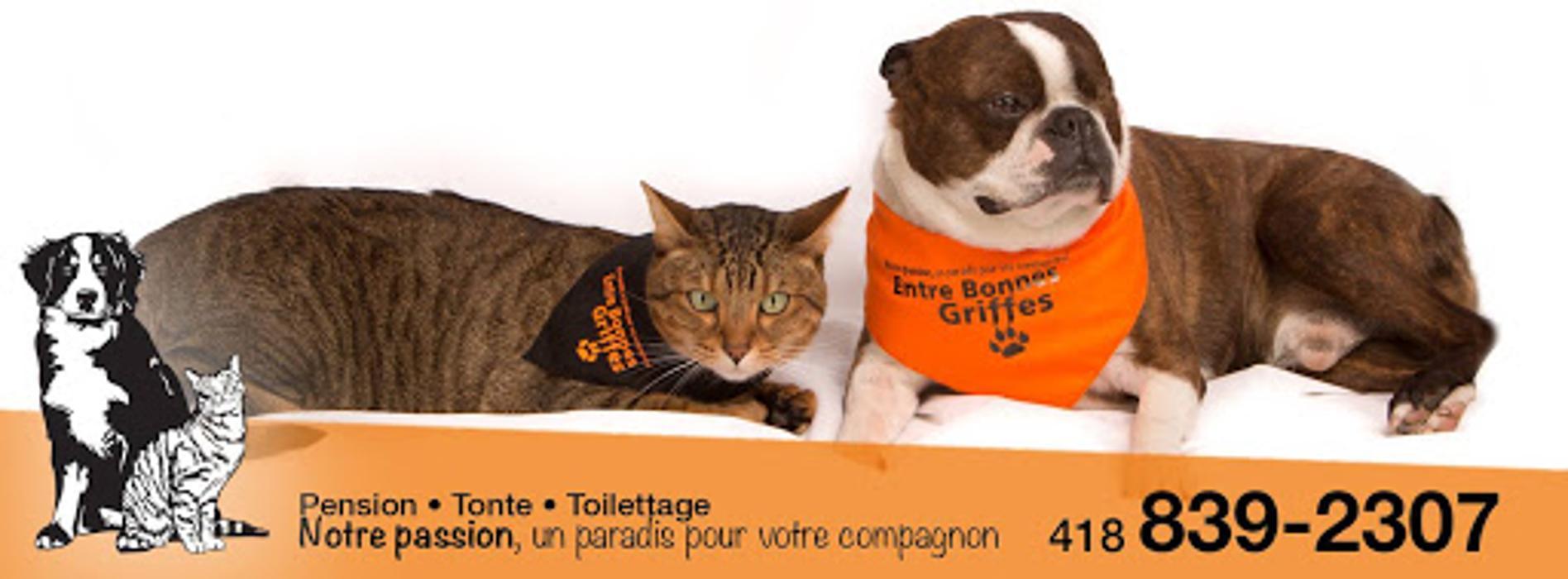 Entre Bonnes Griffes