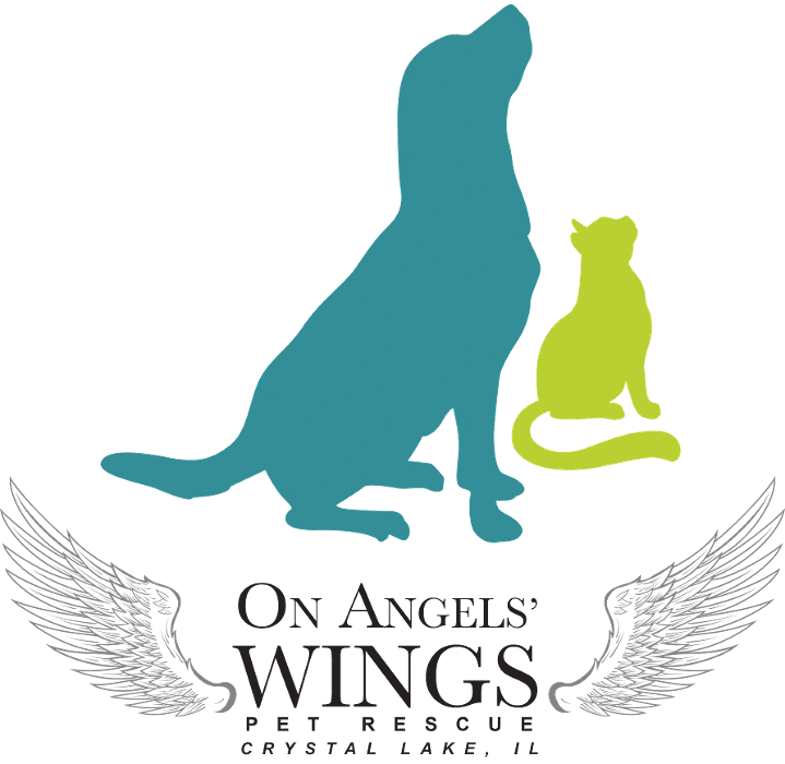 On Angels' Wings Pet Rescue and Resale Store