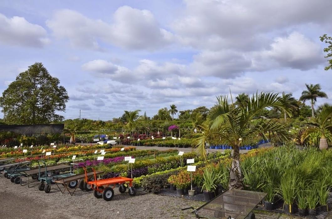 Nu Turf of Pompano Beach, Inc.