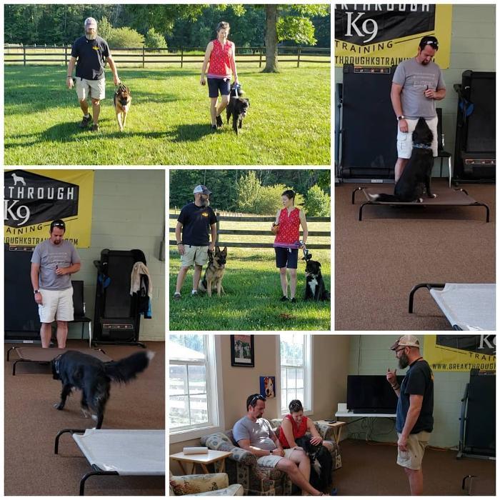 Breakthrough K9 Training