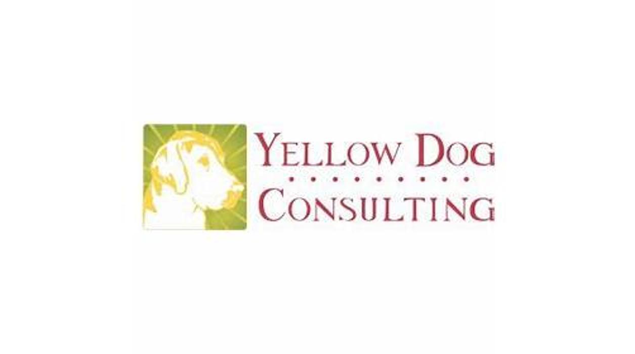 Yellow Dog Consulting