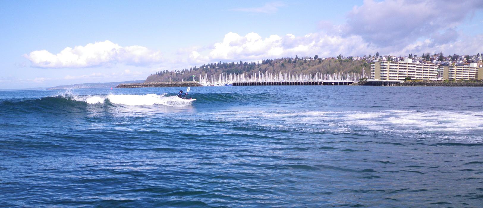 Salmon Bay Paddle