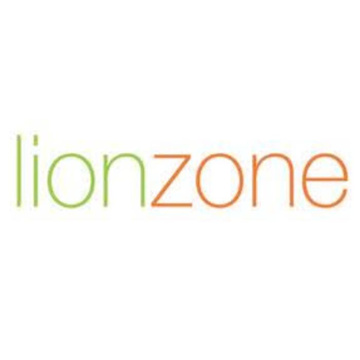 Lionzone Digital Marketing