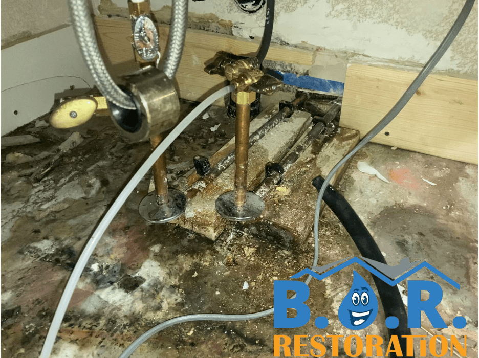 Best Option Restoration - Thornton