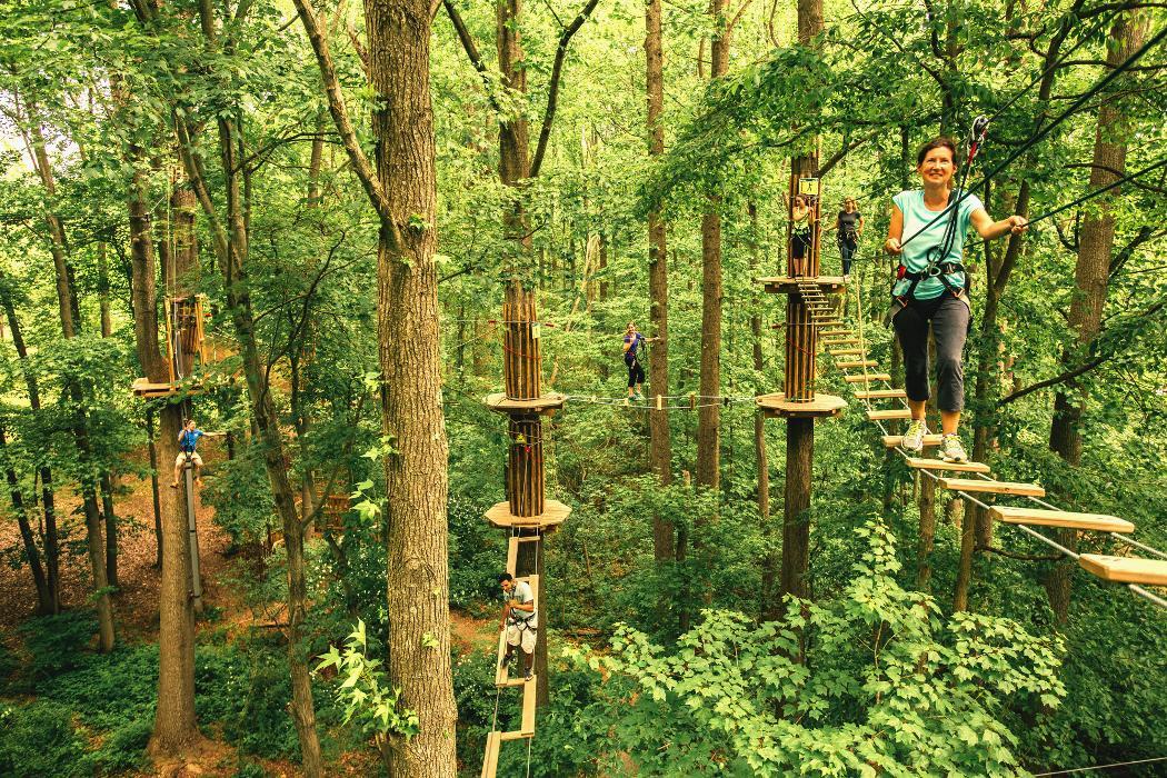 Go Ape Zipline and Adventure Park