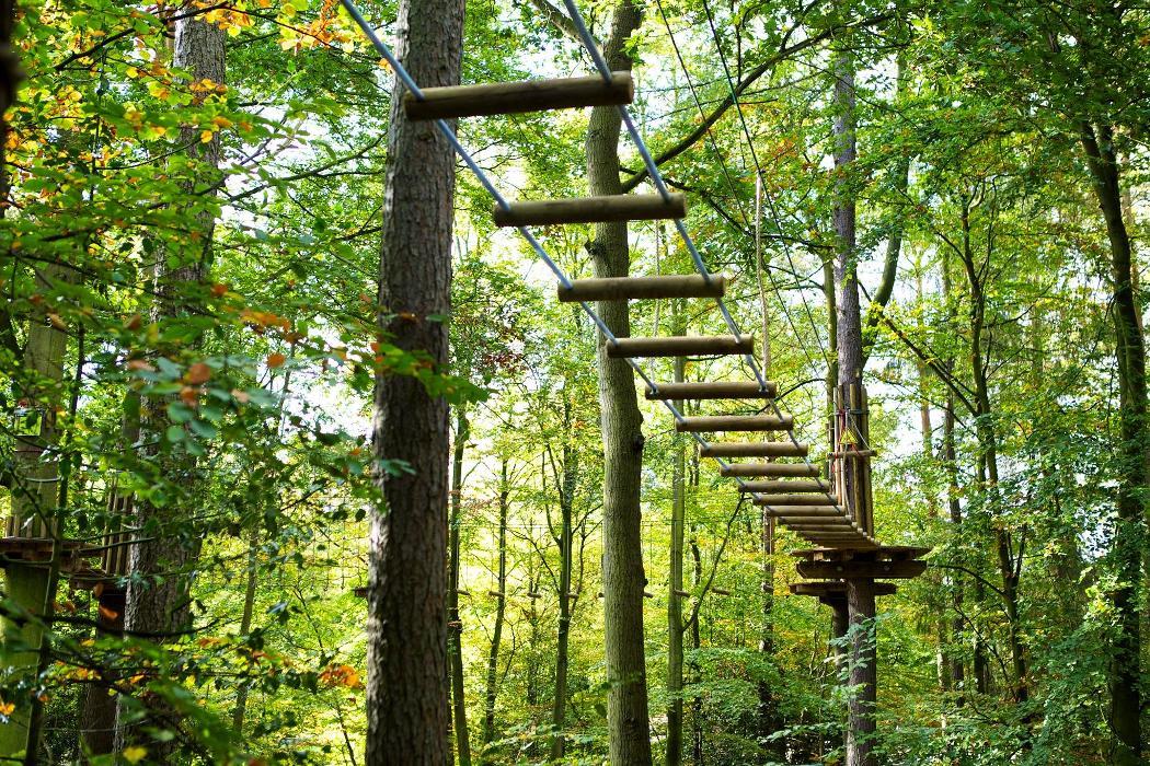 Go Ape Zipline and Adventure Park