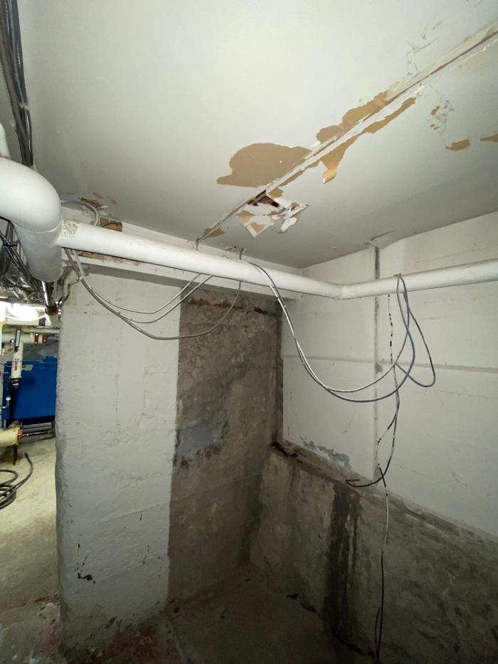 Water Damage Toronto Mold Removal Inc.