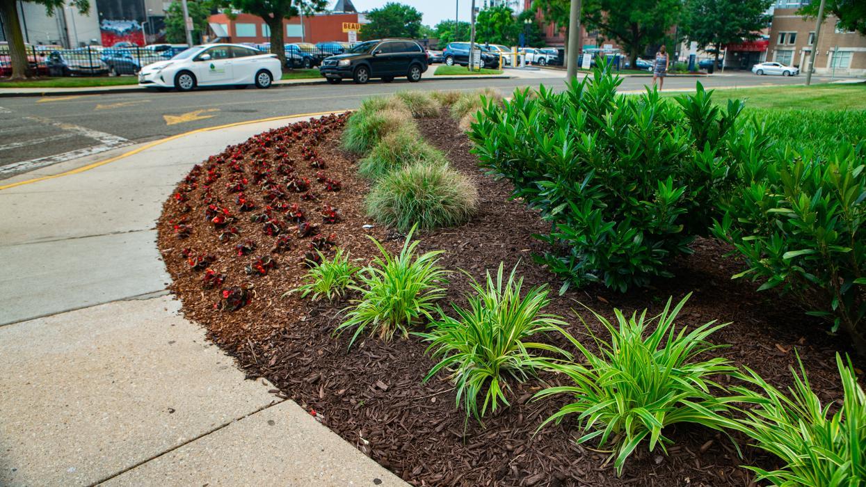 Level Green Landscaping