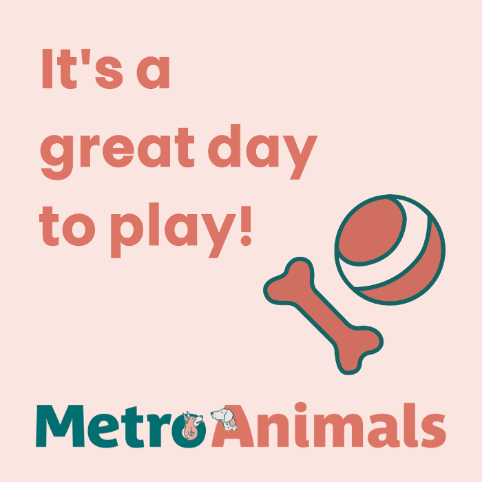 Metro Animals