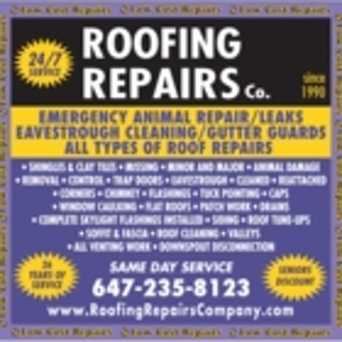 Roofing Repairs