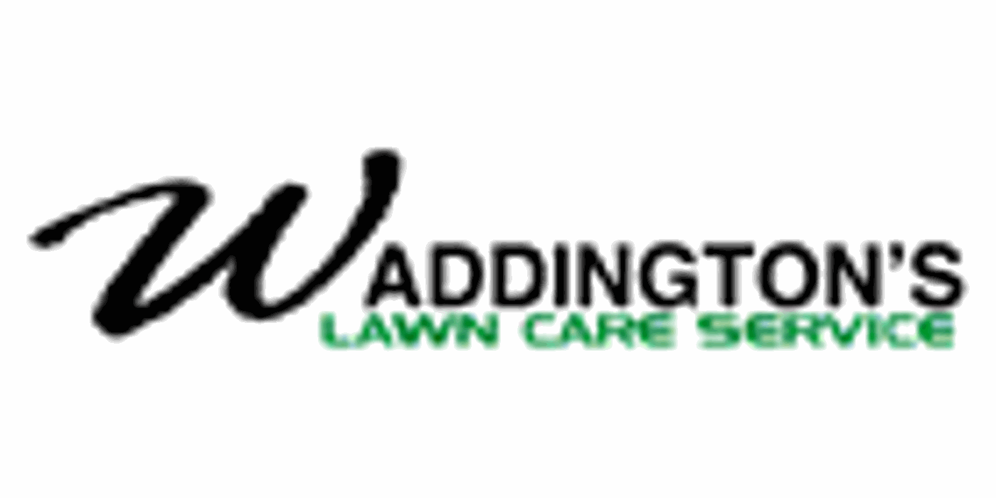 Waddington's Lawn Care Service