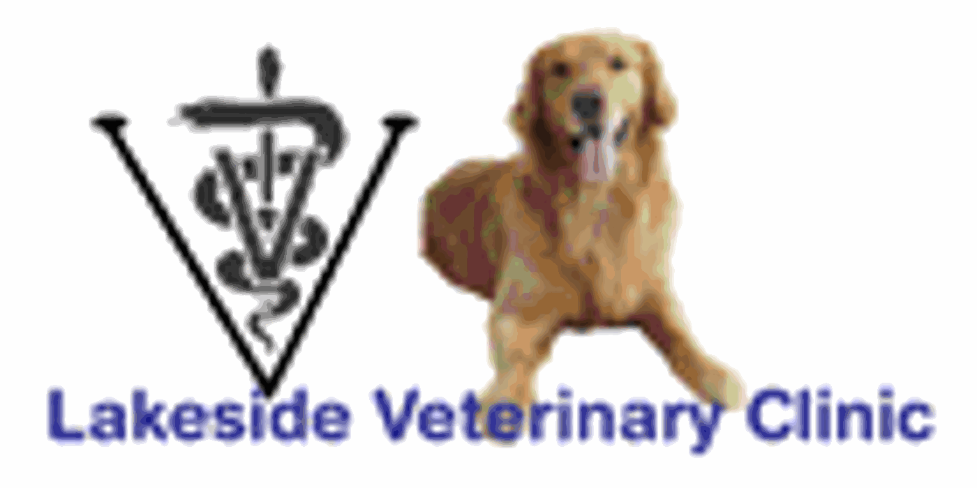 Lakeside Veterinary Clinic