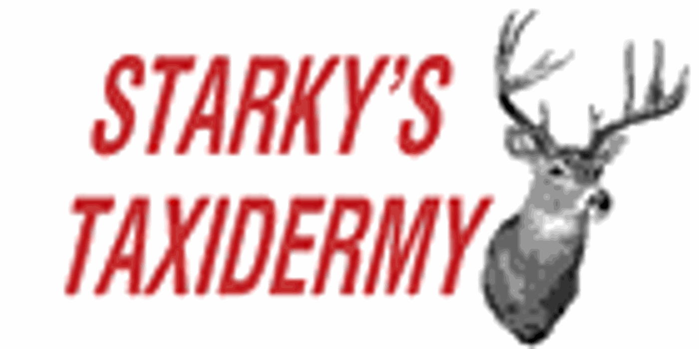 Starky's Taxidermy