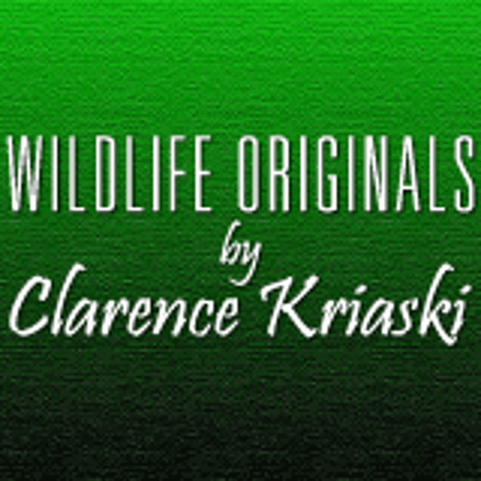 Wildlife Originals By Clarence Kriaski