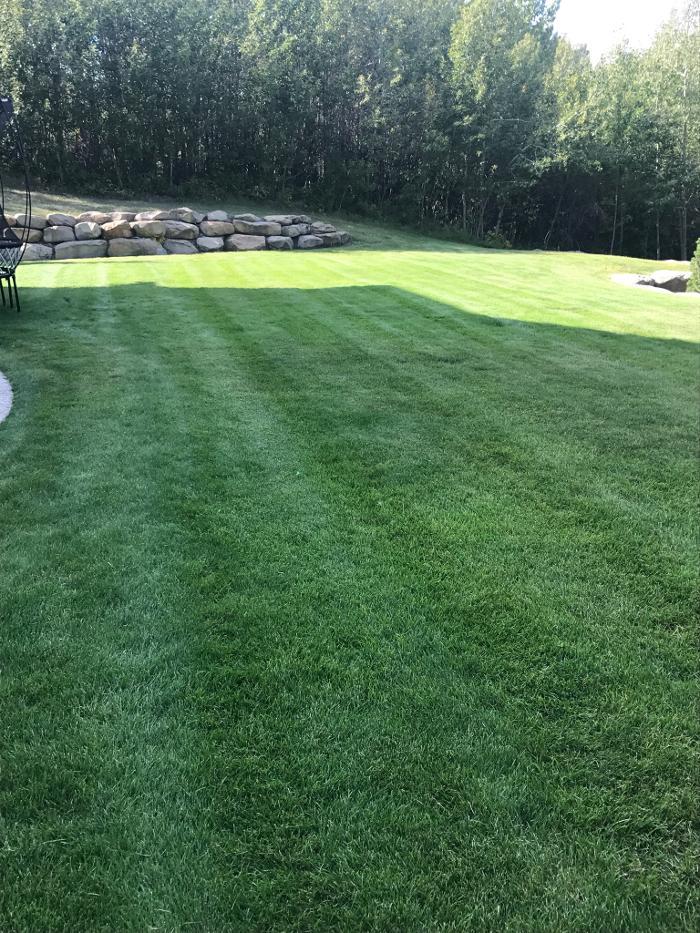 JC Lawn Pros Inc