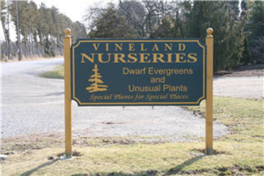 Vineland Nurseries