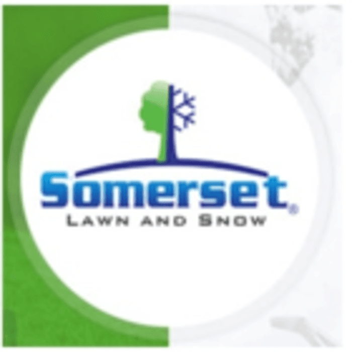 Somerset Lawn and Snow