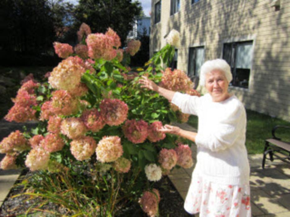 Les Jardins De Magog