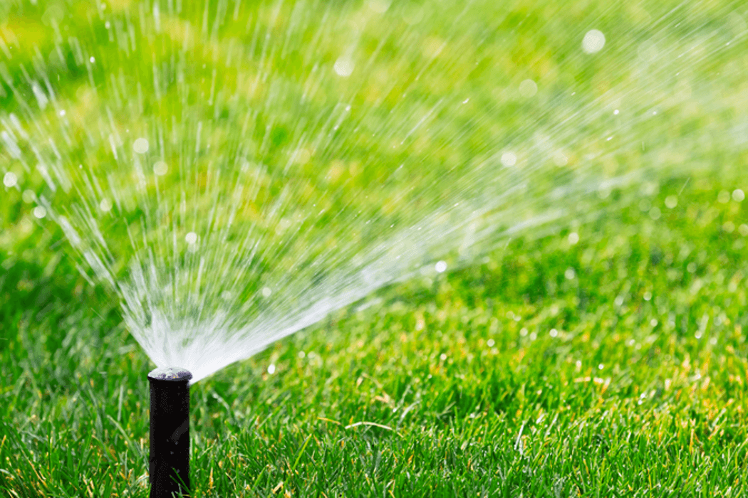 Garden Irrigation