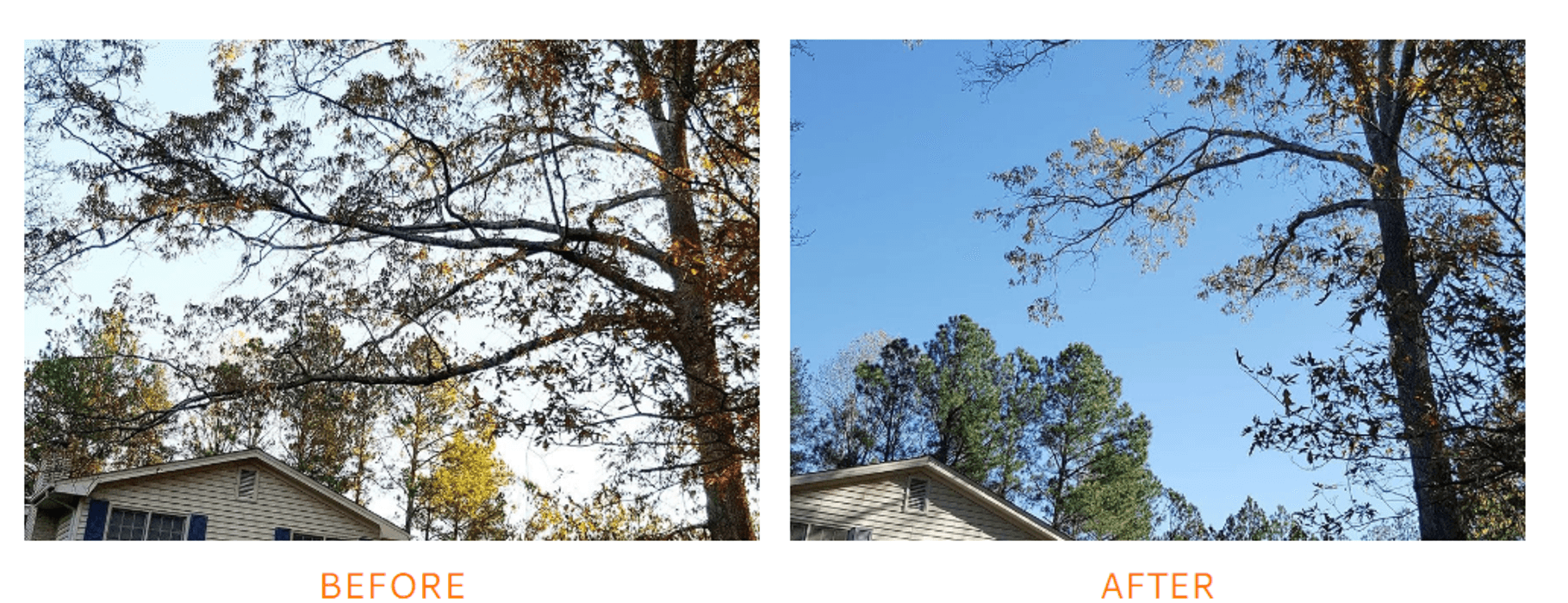 Southern Pro Tree Services