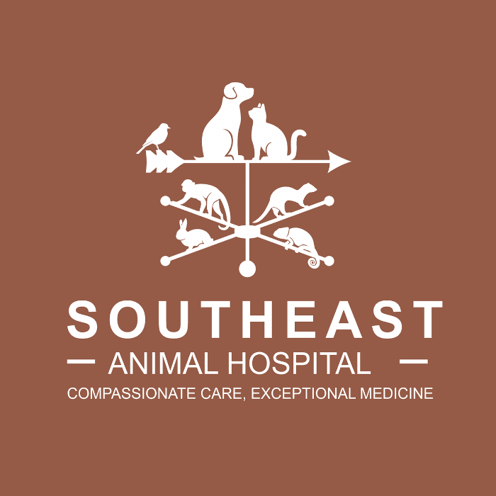 Southeast Animal Hospital