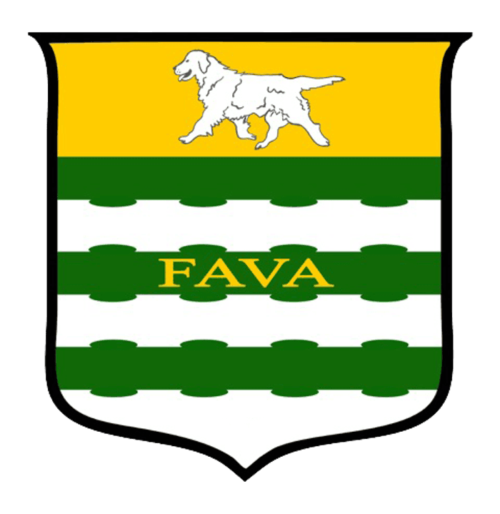 FAVA Renovations