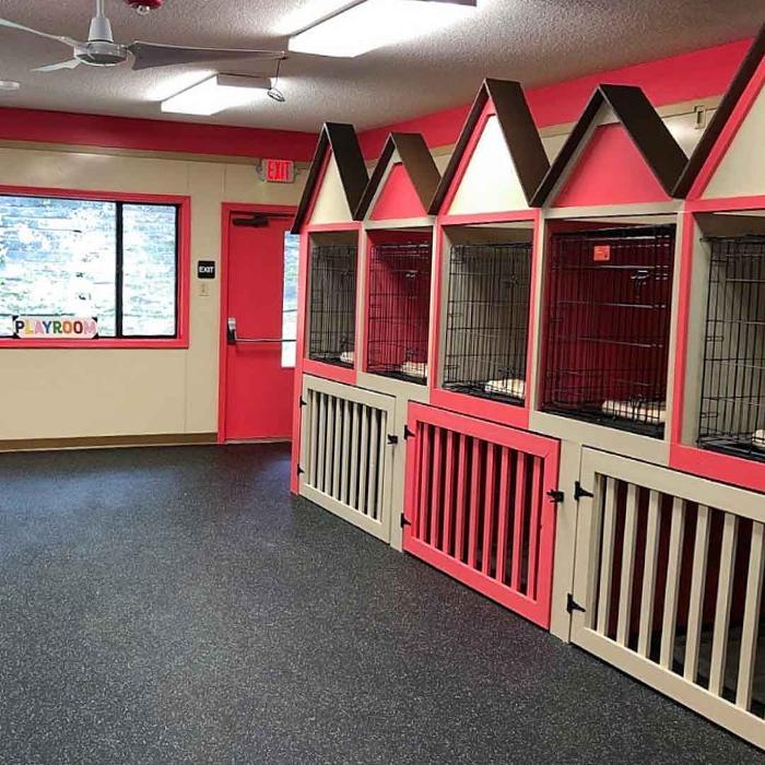 Fido Fido Dog Daycare & Boarding