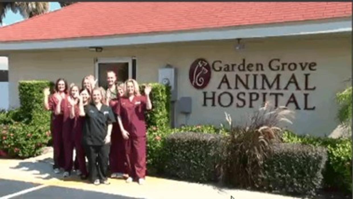 Garden Grove Animal Hospital