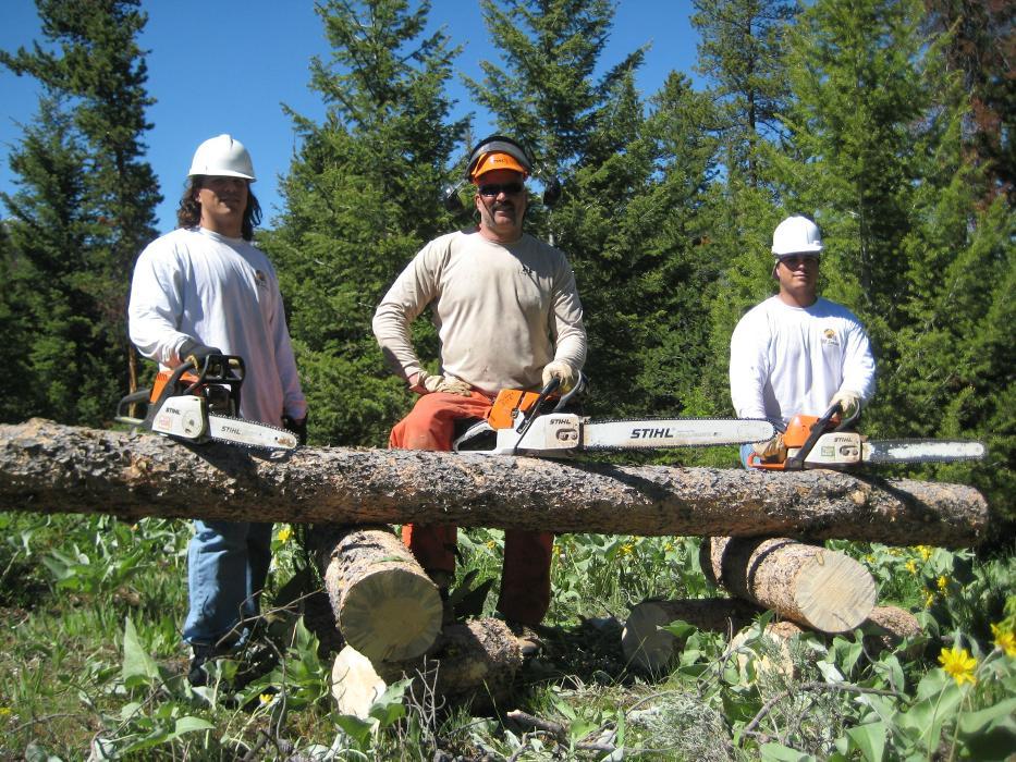 Big Sky Tree Removal