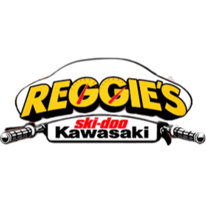 Reggie's Kawasaki Ski-Doo