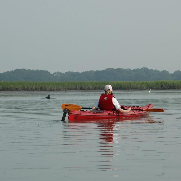 Coastal Expeditions Beaufort