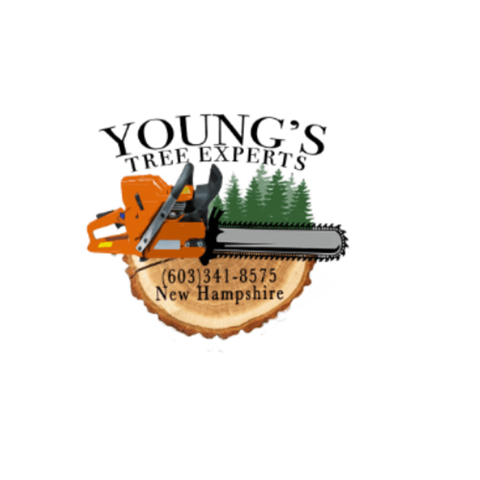 Young's Tree Experts