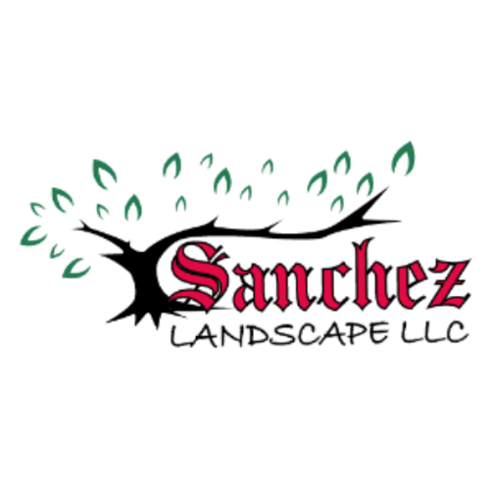 Sanchez Landscape