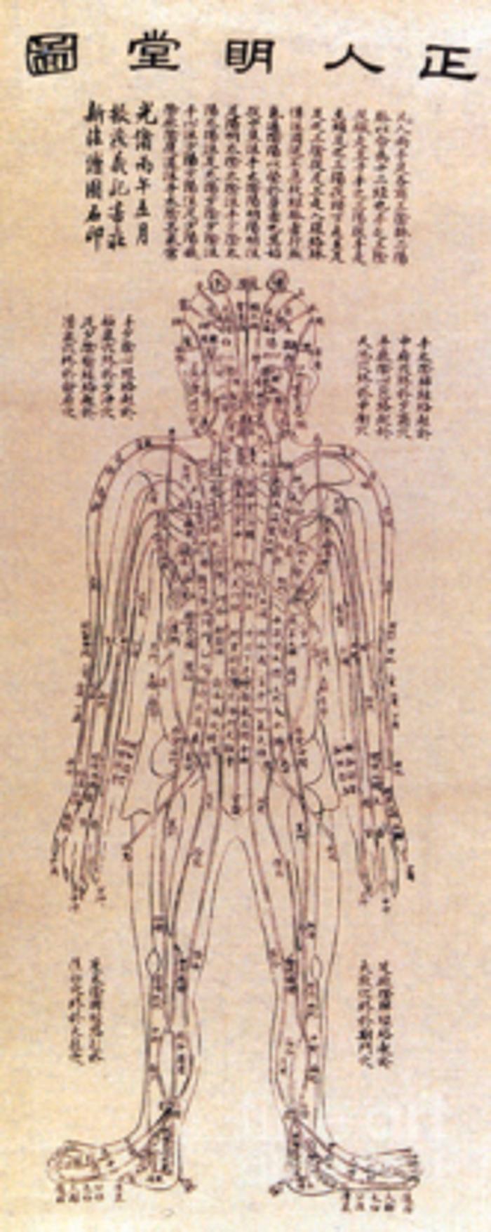 Acu-Hom Clinic For Homeopathic Medicine, Acupunc ture & Thermography