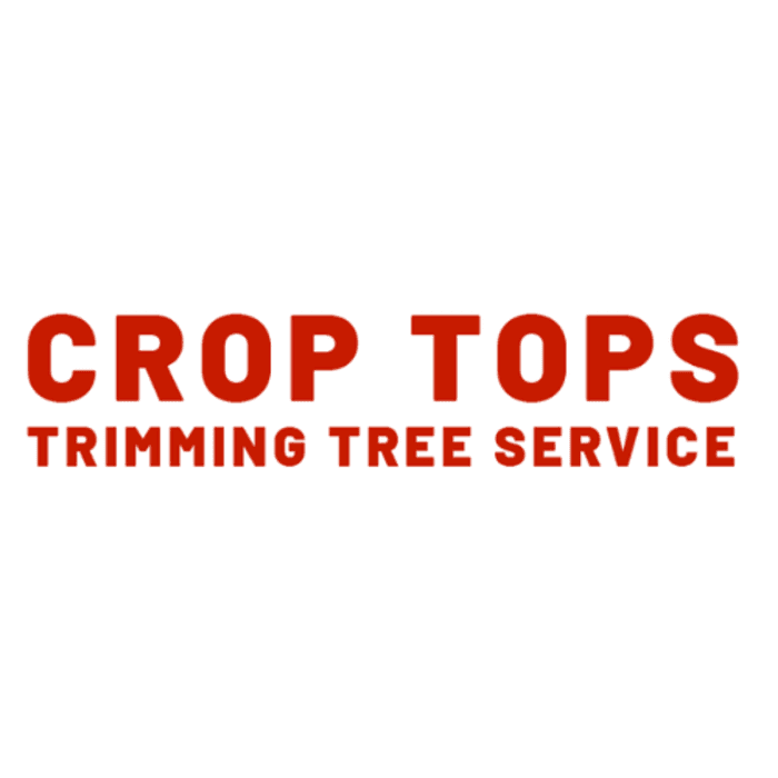 Crop Tops Trimming Tree Service