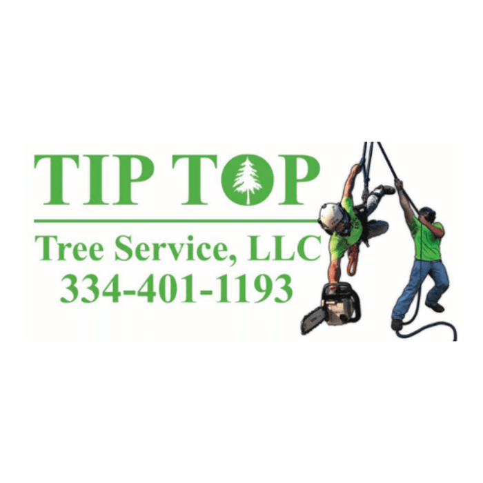 Tip-Top Tree Service